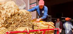 陜西鎮(zhèn)安：米糧鎮(zhèn)