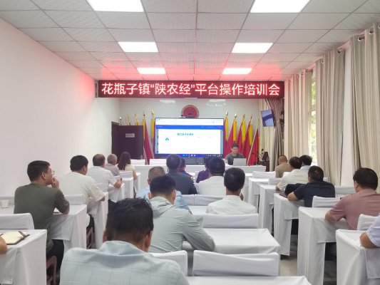商洛市丹鳳縣花瓶子鎮(zhèn)：